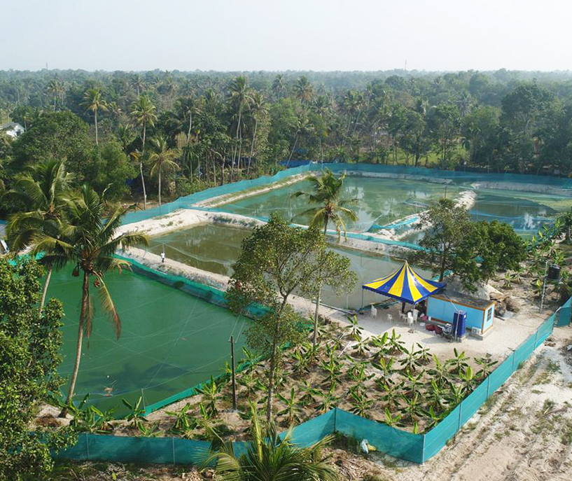 Good spot in Kerala for a peaceful retired life